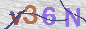 To prevent spam, please prove you are a real person by typing the characters you see in this box into the box below.