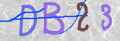 To prevent spam, please prove you are a real person by typing the characters you see in this box into the box below.
