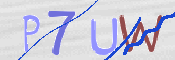 To prevent spam, please prove you are a real person by typing the characters you see in this box into the box below.