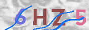 To prevent spam, please prove you are a real person by typing the characters you see in this box into the box below.
