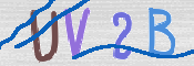 To prevent spam, please prove you are a real person by typing the characters you see in this box into the box below.