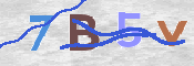 To prevent spam, please prove you are a real person by typing the characters you see in this box into the box below.