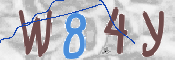 To prevent spam, please prove you are a real person by typing the characters you see in this box into the box below.
