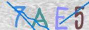 To prevent spam, please prove you are a real person by typing the characters you see in this box into the box below.