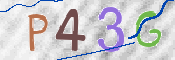 To prevent spam, please prove you are a real person by typing the characters you see in this box into the box below.