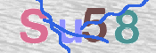 To prevent spam, please prove you are a real person by typing the characters you see in this box into the box below.