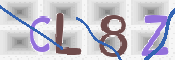 To prevent spam, please prove you are a real person by typing the characters you see in this box into the box below.