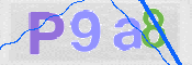 To prevent spam, please prove you are a real person by typing the characters you see in this box into the box below.