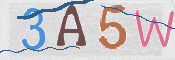 To prevent spam, please prove you are a real person by typing the characters you see in this box into the box below.