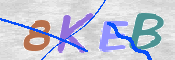 To prevent spam, please prove you are a real person by typing the characters you see in this box into the box below.