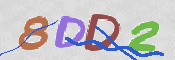 To prevent spam, please prove you are a real person by typing the characters you see in this box into the box below.