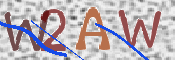 To prevent spam, please prove you are a real person by typing the characters you see in this box into the box below.