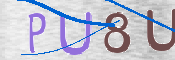 To prevent spam, please prove you are a real person by typing the characters you see in this box into the box below.