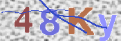 To prevent spam, please prove you are a real person by typing the characters you see in this box into the box below.
