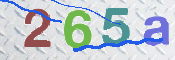 To prevent spam, please prove you are a real person by typing the characters you see in this box into the box below.