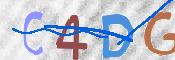 To prevent spam, please prove you are a real person by typing the characters you see in this box into the box below.