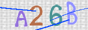 To prevent spam, please prove you are a real person by typing the characters you see in this box into the box below.