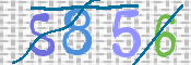 To prevent spam, please prove you are a real person by typing the characters you see in this box into the box below.