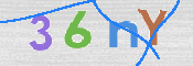 To prevent spam, please prove you are a real person by typing the characters you see in this box into the box below.