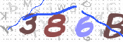 To prevent spam, please prove you are a real person by typing the characters you see in this box into the box below.