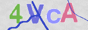 To prevent spam, please prove you are a real person by typing the characters you see in this box into the box below.