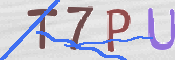 To prevent spam, please prove you are a real person by typing the characters you see in this box into the box below.