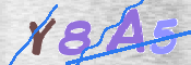 To prevent spam, please prove you are a real person by typing the characters you see in this box into the box below.