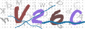 To prevent spam, please prove you are a real person by typing the characters you see in this box into the box below.