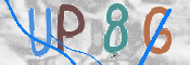 To prevent spam, please prove you are a real person by typing the characters you see in this box into the box below.