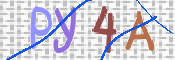 To prevent spam, please prove you are a real person by typing the characters you see in this box into the box below.