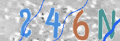 To prevent spam, please prove you are a real person by typing the characters you see in this box into the box below.