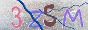 To prevent spam, please prove you are a real person by typing the characters you see in this box into the box below.