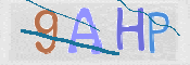 To prevent spam, please prove you are a real person by typing the characters you see in this box into the box below.