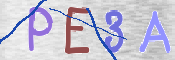 To prevent spam, please prove you are a real person by typing the characters you see in this box into the box below.