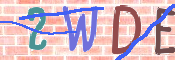 To prevent spam, please prove you are a real person by typing the characters you see in this box into the box below.