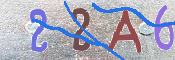 To prevent spam, please prove you are a real person by typing the characters you see in this box into the box below.