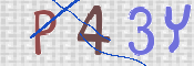 To prevent spam, please prove you are a real person by typing the characters you see in this box into the box below.