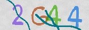 To prevent spam, please prove you are a real person by typing the characters you see in this box into the box below.