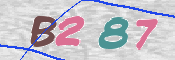 To prevent spam, please prove you are a real person by typing the characters you see in this box into the box below.