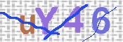 To prevent spam, please prove you are a real person by typing the characters you see in this box into the box below.