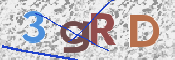 To prevent spam, please prove you are a real person by typing the characters you see in this box into the box below.