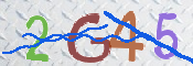 To prevent spam, please prove you are a real person by typing the characters you see in this box into the box below.