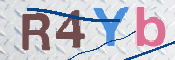 To prevent spam, please prove you are a real person by typing the characters you see in this box into the box below.
