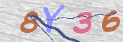 To prevent spam, please prove you are a real person by typing the characters you see in this box into the box below.