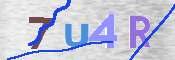 To prevent spam, please prove you are a real person by typing the characters you see in this box into the box below.