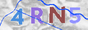 To prevent spam, please prove you are a real person by typing the characters you see in this box into the box below.