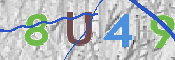 To prevent spam, please prove you are a real person by typing the characters you see in this box into the box below.