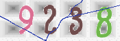 To prevent spam, please prove you are a real person by typing the characters you see in this box into the box below.