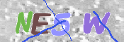 To prevent spam, please prove you are a real person by typing the characters you see in this box into the box below.