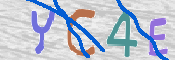 To prevent spam, please prove you are a real person by typing the characters you see in this box into the box below.